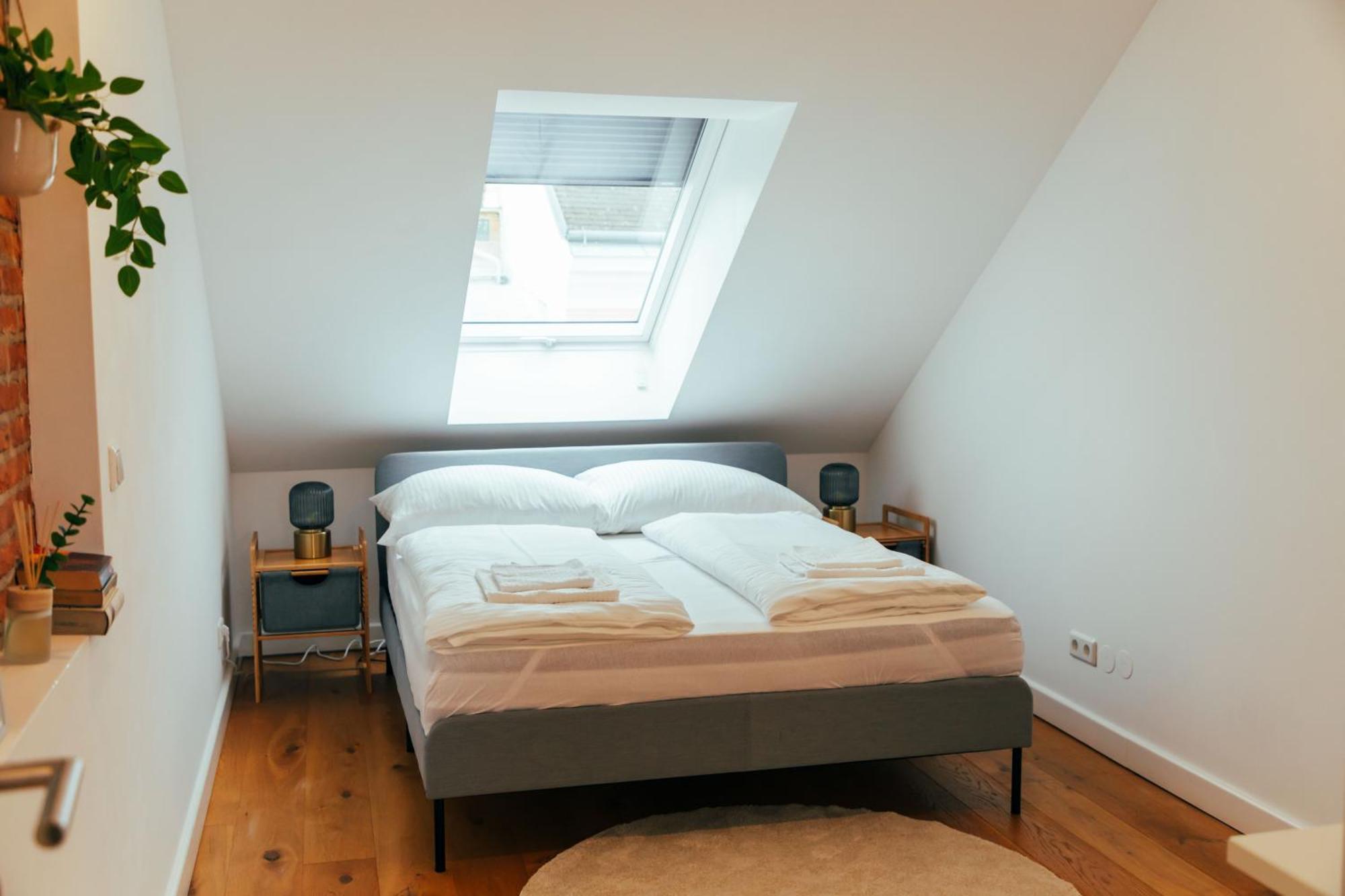 Large - Great For Groups - With Balcony Or Terrace * Vienne